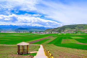Fototapeta na wymiar Qinghai Travel