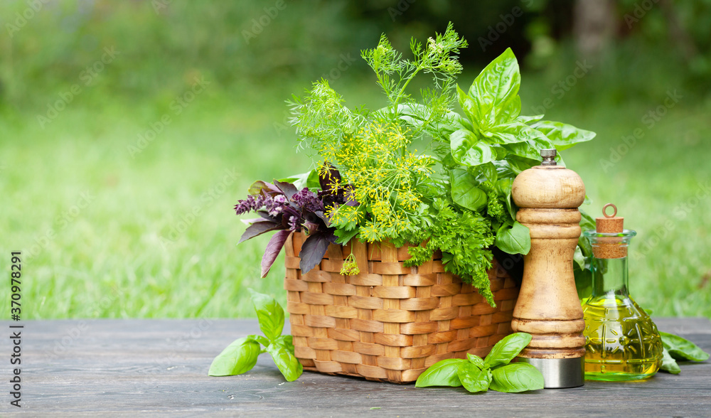 Canvas Prints various herbs in basket