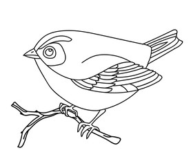 Song bird vector 8