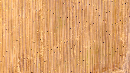 Aerial view at a wide agricultural field with many bales of straw on it.