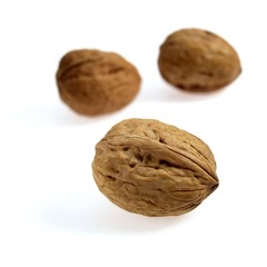 Walnut, juglans regia, Fruits against White Background