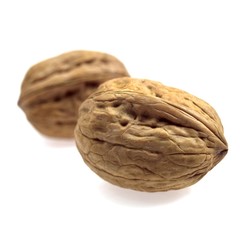 Walnut, juglans regia, Fruits against White Background