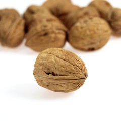 Walnut, juglans regia, Fruits against White Background