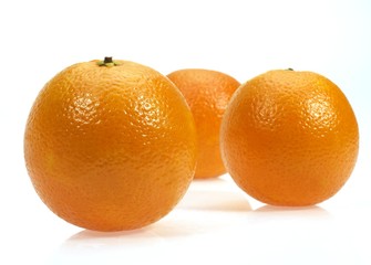 Orange, citrus sinensis, Fruits against White Background