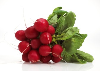 Red Radish, raphanus sativus against White Background