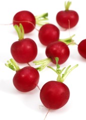 Red Radish, raphanus sativus against White Background