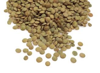 French Lentils called Saint Flour Lentils