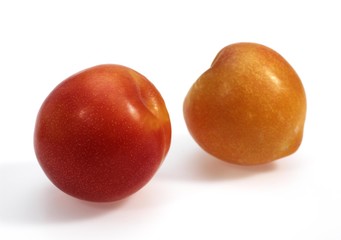 Yellow Plums, Fruits against White Background