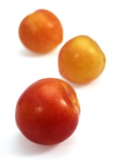 Yellow Plums, Fruits against White Background