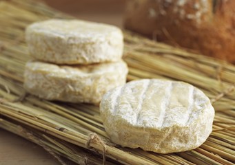 French Cheese Called Saint Marcelin, Cheese produced from Cow's Milk