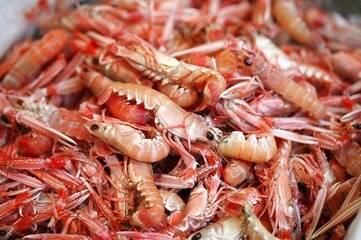 Dublin Bay Prawns or Norway Lobsters or Scampi, nephrops norvegicus at Fishmonger's Shop