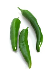 Green Chili Pepper, capsicum annuum