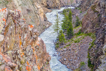 mountain landscape with a mountain river