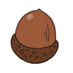 どんぐり