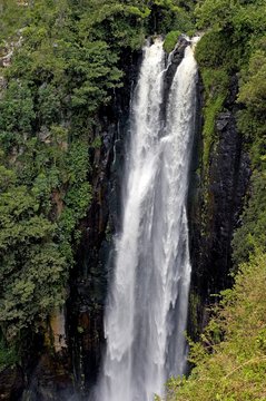Karura Falls, 143 meters High, Aberdares Park in Kenya