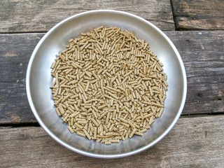 animal food on wood floor