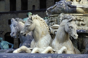 Horses at Trevi Fountain in Roma