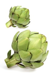 Obraz premium Camus Artichoke, cynara scolymus, Vegetable against White Background