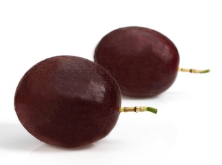 Passion Fruit, passiflora edulis against White Background