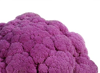 Purple Cauliflower, brassica oleracea, Vegetable against White Background