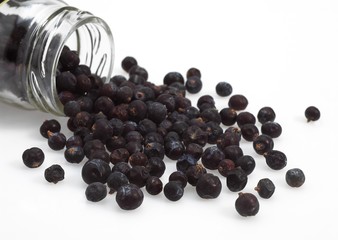 Juniper Berries, juniperus communis against White Background