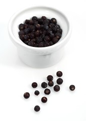 Juniper Berries, juniperus communis against White Background