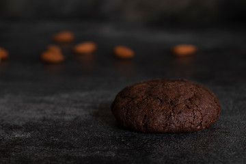 Still life with chocolate cookie on dark background