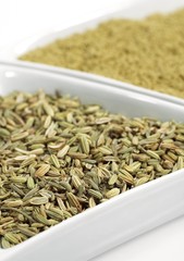 Powder and Fennel's Seed, foeniculum vulgare against White background
