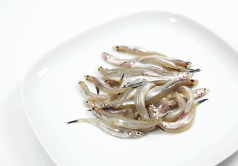 Smelts, osmerus eperlanus, Fresh Fishes against White background