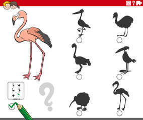 shadows task with cartoon flamingo animal character