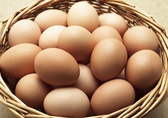 Chicken Eggs in a Basket