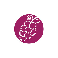 Grapes logo template vector icon illustration