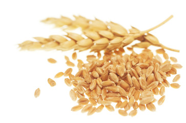 Wheat on white