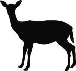 antelope silhouette vector
