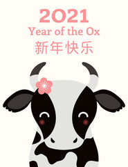 2021 Chinese New Year vector illustration with cute black and white ox, pink flower, Chinese typography Happy New Year. Flat style design. Concept for holiday card, banner, poster, decor element.