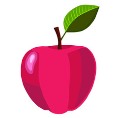 Vector illustration of a fresh red apple.