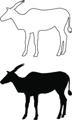Fototapeta na wymiar silhouette of an antelope