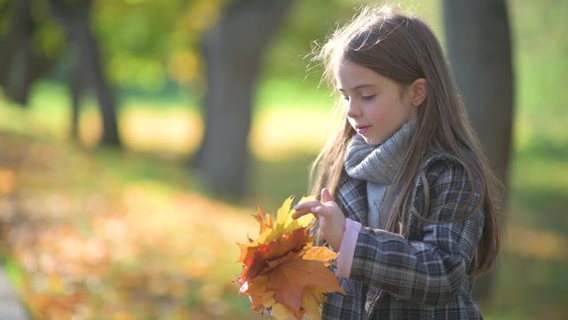 Happy Girl in Coat Walks in a Sunny Autumn Park. The child collects a Bouquet of Fallen Leaves. Children Relax in the Open Air. childhood concept.