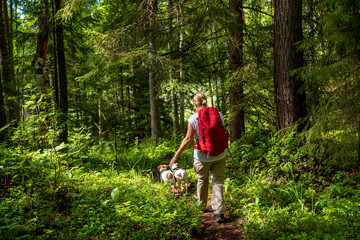 Naklejka na ściany i meble Woman hiking in autumn forest trail with dogs