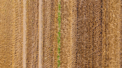 Aerial view at a wide agricultural field with many bales of straw on it.