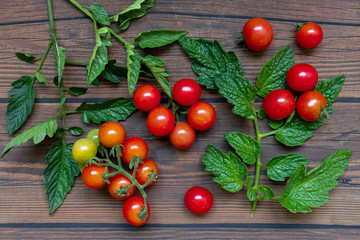 cherry tomatoes on wooden table background