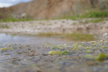 spring stream
