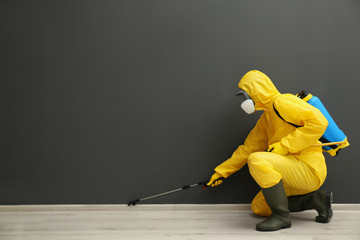 Obraz premium Pest control worker in protective suit spraying pesticide near black wall indoors. Space for text