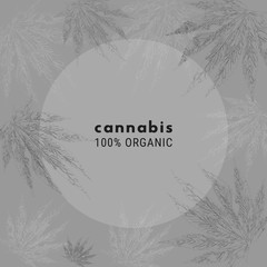square gray template with cannabis leafes , universal design, copy space, vector illustration