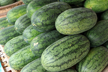 Torpedo watermelon 2