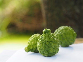 kaffir lime, Leech Lime Citrus hystrix DC Scientific name rough skin green vegetable