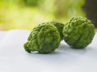 Fototapeta premium kaffir lime, Leech Lime Citrus hystrix DC Scientific name rough skin green vegetable