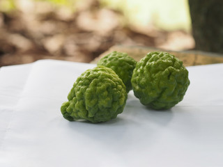 kaffir lime, Leech Lime Citrus hystrix DC Scientific name rough skin green vegetable