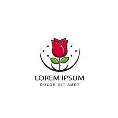 rose logo template design vector