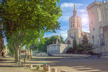 Avignon. Cathédrale et Palais des Papes.